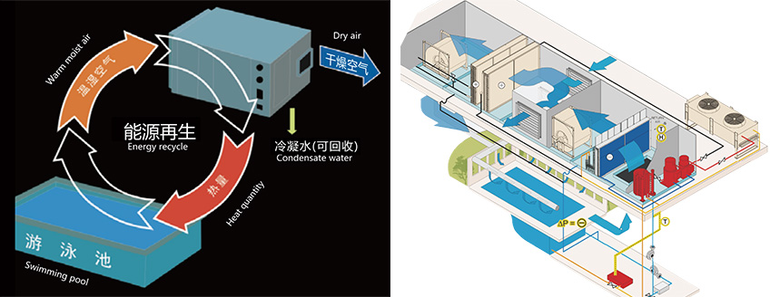 普派克泳池恒溫恒濕系統(tǒng)