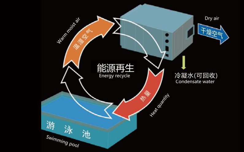 游泳池設(shè)計(jì)方案