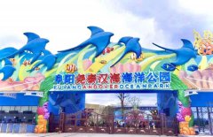 阜陽新添一個綜合性海洋公園，這個國慶長假別錯過啦！