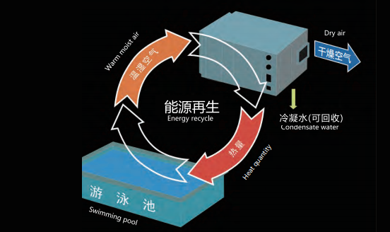 別墅室內(nèi)泳池除濕,別墅游泳池除濕機(jī)